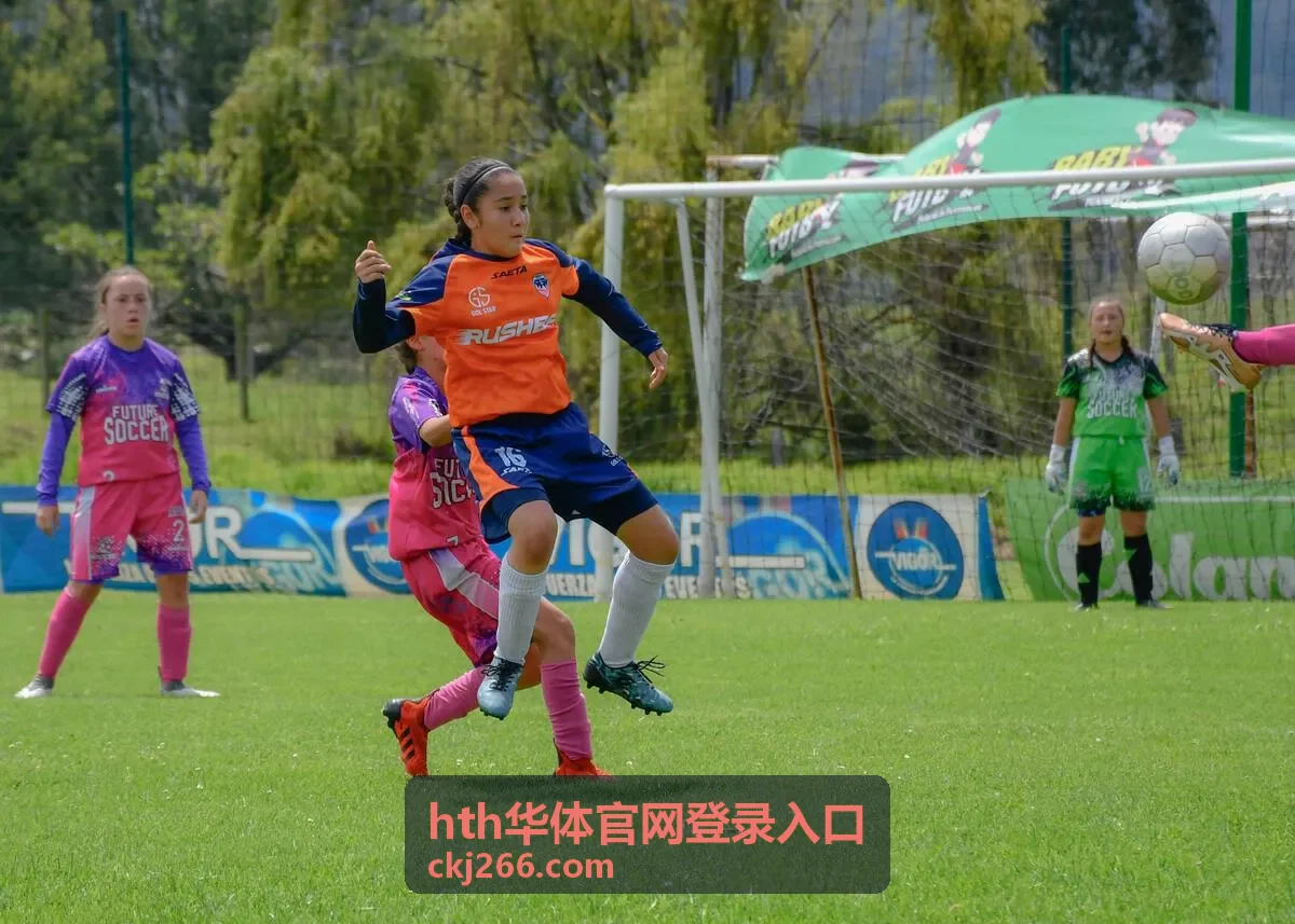 登录入口与账号安全合集缩略图